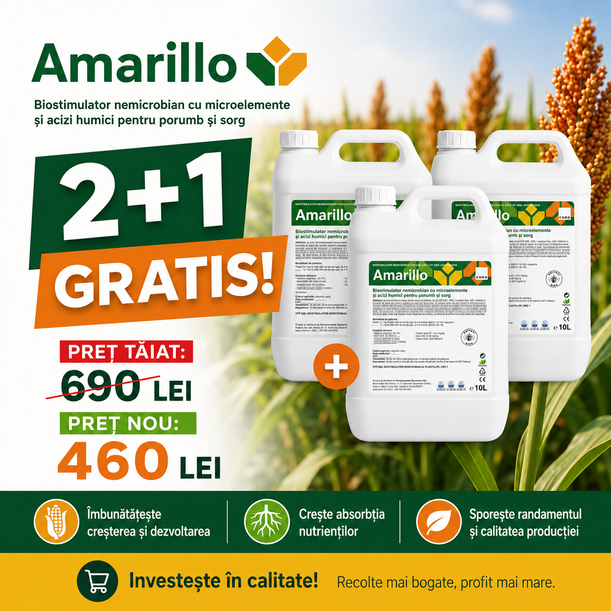 (2+1 GRATIS) AMARILLO, Biostimulator nemicrobian pentru culturile de porumb și sorg