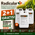 (2+1 GRATIS) RADICULAR, Biostimulator microbian pentru aplicare prin fertigare