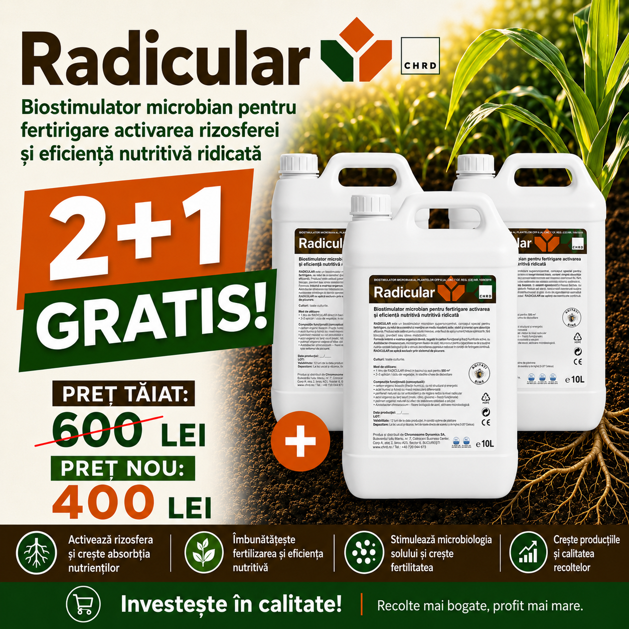 (2+1 GRATIS) RADICULAR, Biostimulator microbian pentru aplicare prin fertigare