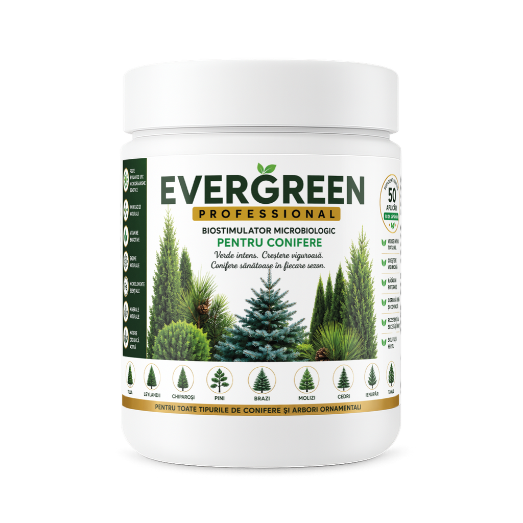 EVERGREEN PROFESSIONAL, Biostimulator microbian pentru conifere, arbori ornamentali și garduri vii