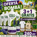 (3+1 GRATIS) VITIKAT SL, Biostimulator lichid pentru vița-de-vie